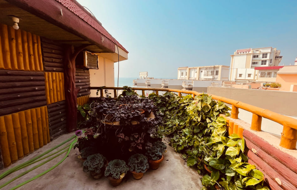the-rooftop4